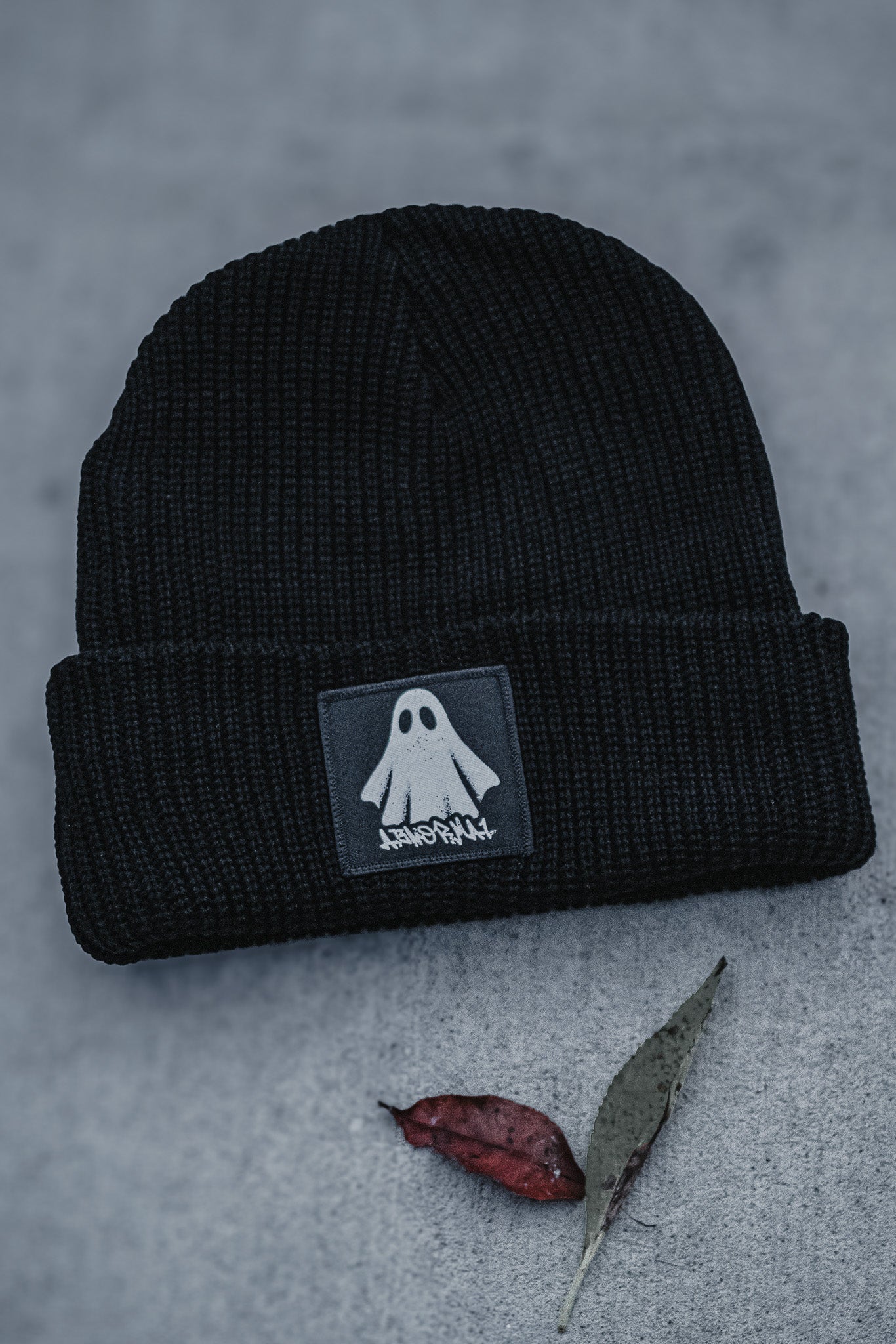 Abnormal (Oversized Beanie)